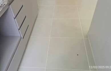 Imagem 14: Imóvel para aluguel com 54 metros quadrados com 3 quartos em Parque Oeste Industrial - Goi