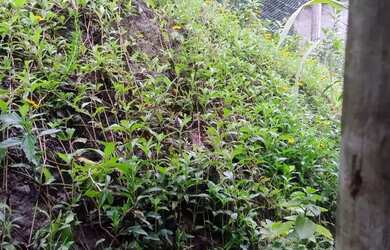 Imagem 15: Casa em Maria Paula. Ar-condicionado, 300m² de Área, 1 Vaga na garageme2...