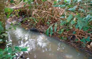 Imagem: A chácara possui 608m² de Área e está localizado em Vila