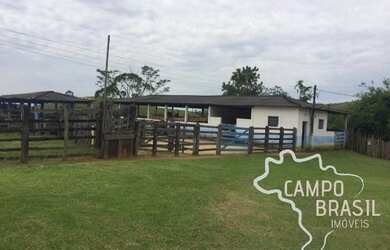Imagem 1: Campo Brasil Imóveis, realizando seu sonho rural Fazenda de 150aq no...