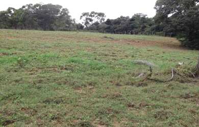 Imagem: A chácara possui 50000m² de Área, Piscina e Varanda e está