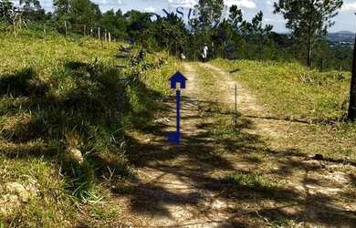 Imagem: O terreno possui 600m² de Área e está localizado em Mata