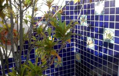 Imagem 4: Ótimo apto na Vila Madalena