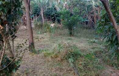 Imagem: O terreno possui 362m² de Área e está localizado em São