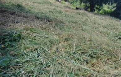 Imagem 2: Lote no aurreny 3. 360m² de Área