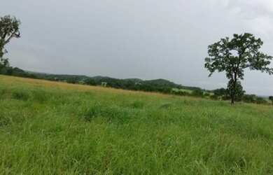 Imagem 6: Fazenda 20alq Itapirapuã