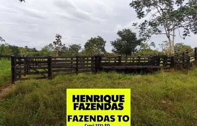 Imagem 6: Fazenda de oportunidade em Divinopolis 25 alq por 1,5 milhões