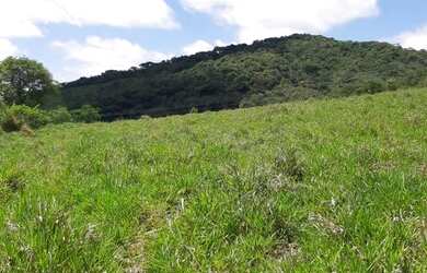 Imagem 5: São João Del Rei - Terreno Padrão - Zona Rural