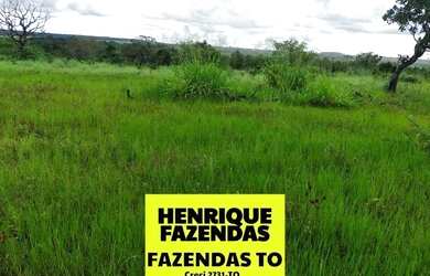 Imagem 10: Fazenda de oportunidade em Divinopolis 25 alq por 1,5 milhões