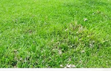 Imagem: O terreno possui 600m² de Área e está localizado em Centro