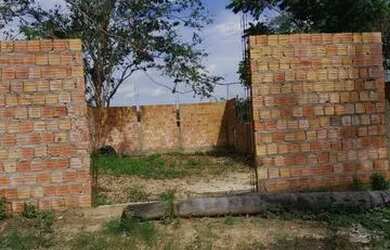 Imagem: O terreno está localizado em Gilberto Mestrinho, Manaus à