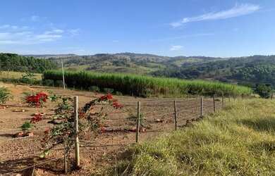 Imagem 3: Chácara em Alexãnia. 388.000m² de Área