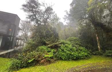 Imagem 8: Terreno à venda com 617m2 no Condomínio Quinta da Serra em Canela -...
