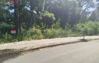 Imagem 12: Terreno à venda em Canela