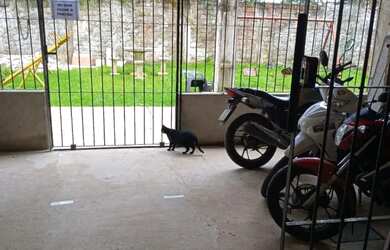 Imagem 4: Residencial Viver tenone. 41m² de Área, 1 Banheiroe2 Dormitórios