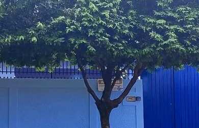 Imagem: Aluga casa 3 quartos no bairro coronel Antônino