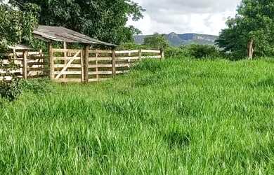 Imagem: A chácara está localizado em Jardim Bela Vista, Palmas à