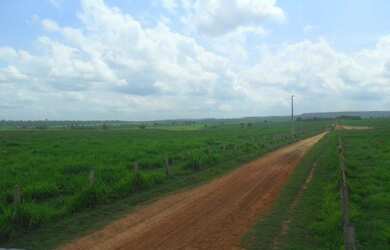 Imagem 5: 2.647 alqueires ,2.033 alqueires abertos Estado do Pará R$235 milhões...