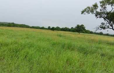 Imagem 7: Fazenda 20alq Itapirapuã