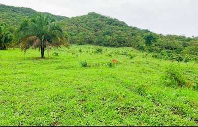 Imagem 11: Fazenda na Agrovila das Palmeiras 630 Hectares