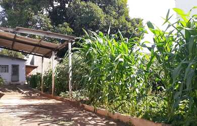 Imagem 16: Terreno à venda em ótima localização na zona leste de Londrina, na...