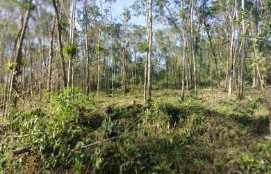 Imagem 4: Terreno em Guaratuba. 35.000m² de Área