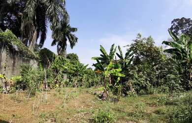 Imagem: O terreno possui 999m² de Área e está localizado em Flores