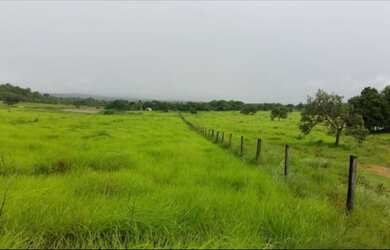 Imagem 2: Fazenda 20alq Itapirapuã