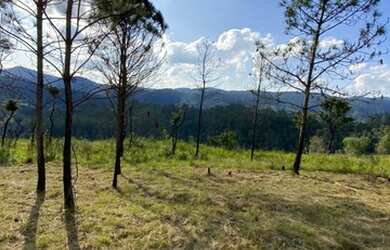 Imagem 7: Saiba como investir