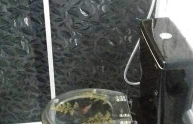 Imagem 6: Casa. Varanda, Área de serviço, 204m² de Áreae1 Vaga na garagem