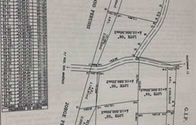 Imagem 5: Área à venda em Almirante Tamandaré na estrada do marmeleiro