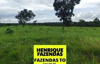 Imagem 11: Fazenda de oportunidade em Divinopolis 25 alq por 1,5 milhões