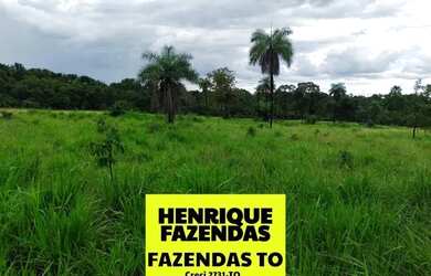 Imagem 13: Fazenda de oportunidade em Divinopolis 25 alq por 1,5 milhões