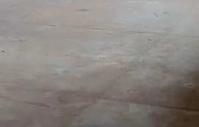 Imagem 12: Vendo Galpão Novo. Imóvel novo, 350m² de Áreae4 Vagas na garagem