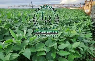 Imagem: A fazenda está localizado em Plano Diretor Sul, Palmas à venda