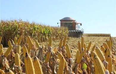 Imagem: A fazenda está localizado em Piracanjuba, GO à venda por R$54.940.000