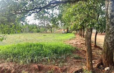 Imagem: A chácara possui 1000m² de Área e está localizado em São