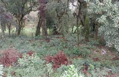 Imagem 9: Terreno à venda em Canela