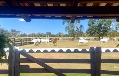 Imagem 13: Imóvel para venda possui 1010000 metros quadrados em Centro - Arinos...