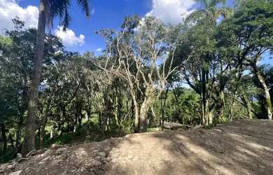 Imagem 2: Área - Bairro Sierra Park