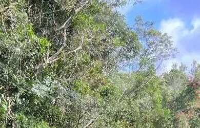 Imagem: O terreno possui 1.702m² de Área e está localizado em Embu-Guacu