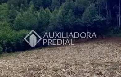 Imagem 2: Área Pinhal Alto- Nova Petrópolis/RS