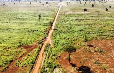 Imagem: A fazenda está localizado em Flores de Goiás, GO à venda