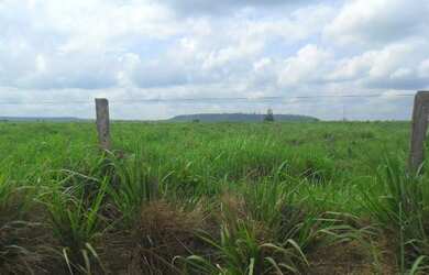 Imagem 13: 2.647 alqueires ,2.033 alqueires abertos Estado do Pará R$235 milhões...