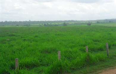 Imagem 2: 2.647 alqueires ,2.033 alqueires abertos Estado do Pará R$235 milhões...