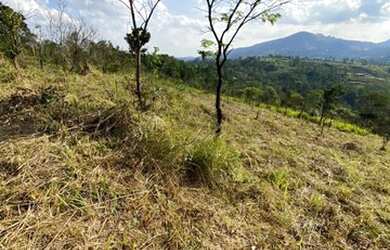 Imagem 3: Saiba como investir