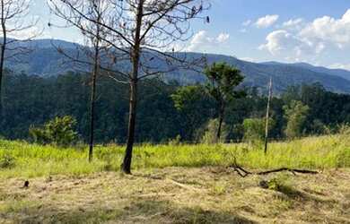 Imagem 5: Saiba como investir