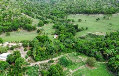 Imagem 1: Fazenda na Agrovila das Palmeiras 630 Hectares