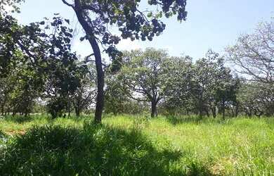 Imagem: O terreno possui 20.000m² de Área e está localizado em Jaboticatubas