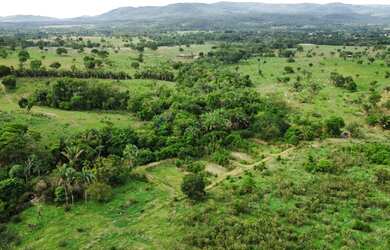 Imagem 2: Fazenda na Agrovila das Palmeiras 630 Hectares
